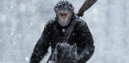 War for the Planet of the Apes after credits hq