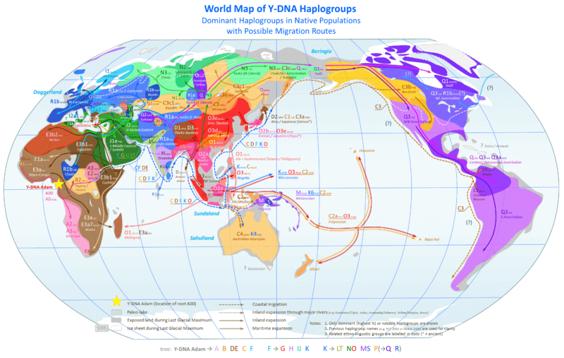 World Map of Y DNA Haplogroups