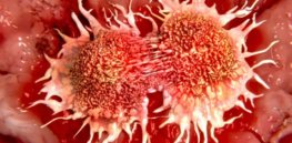 cancer cells dividing