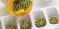 cannabis medica e