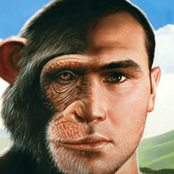 chimpshumans