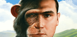 chimpshumans