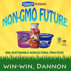 dannon non gmos
