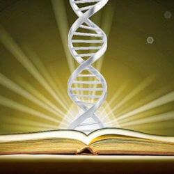 dna bible