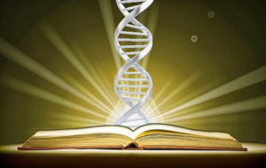 dna bible