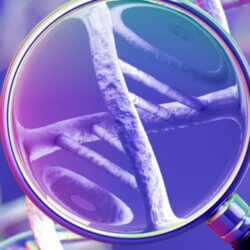 dna