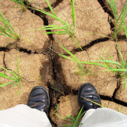 drought ground e