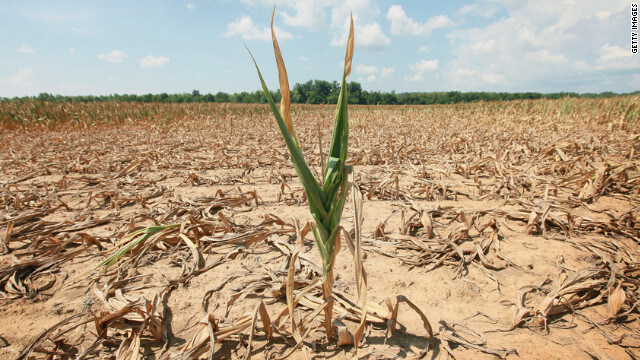 drought tolerant corn Credit truth about trade