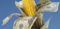 ethanol corn money cash x