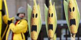 eu moves step closer to law on national gmo crop bans