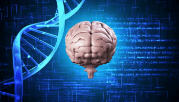 Two new genetic mutations linked to Alzheimer's - Genetic Literacy Project