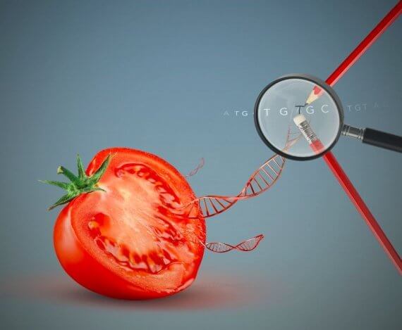 gene editing plants