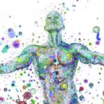gut bacteria and weight gain
