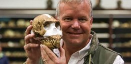 homo naledi