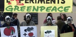 india spy agency says greenpeace endangers economic security