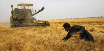 iran farmer