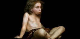 neandertal boy