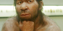 neanderthal e