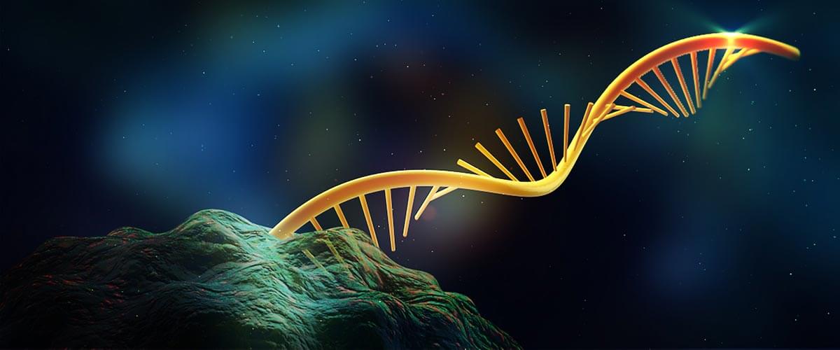 rna slide