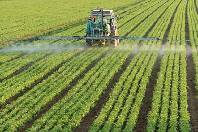 roundup herbicide chemical glyphosate poses health dangers