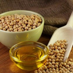 soybean