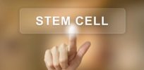 stem cell on a screen