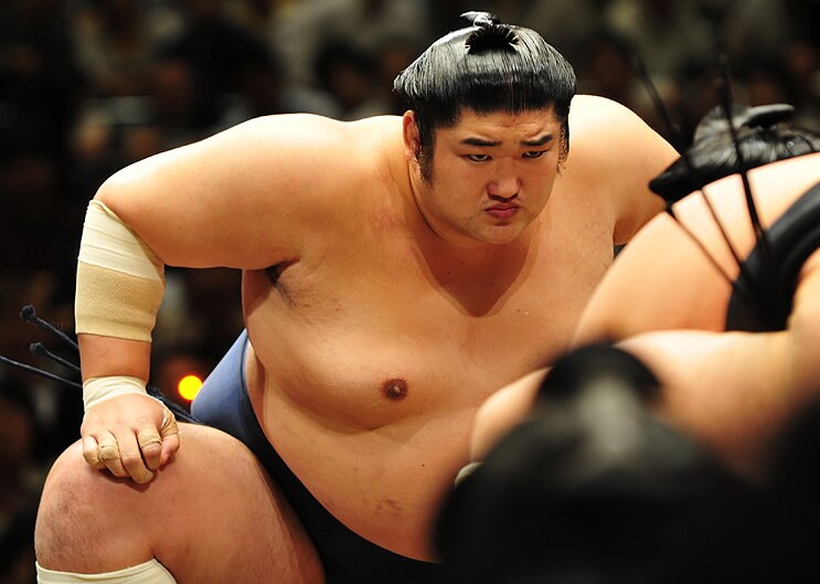 sumo