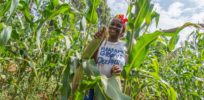 women in agriculture o