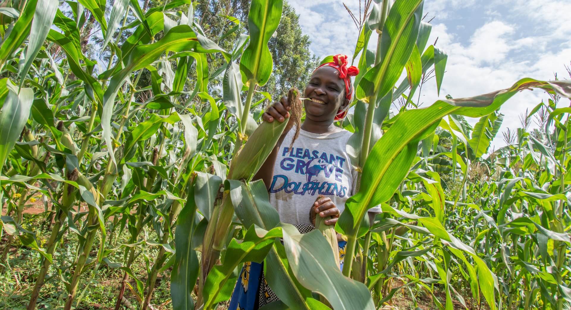 women in agriculture o