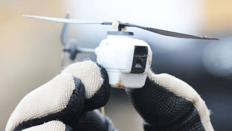 insect drones