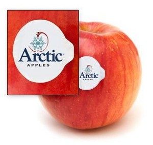 arctic x