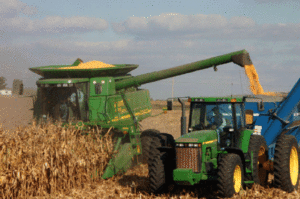 big farm mobile harvest help fertile corn