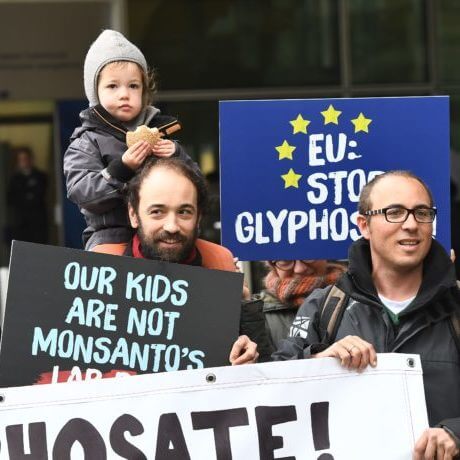 glyphosate x x e