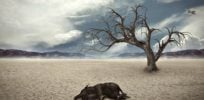 mass extinction worse than thought study drought