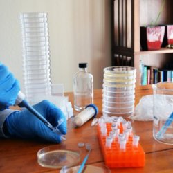 odin crispr bacterial kit