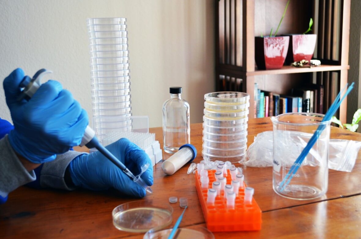 odin crispr bacterial kit