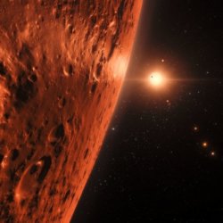 trappist
