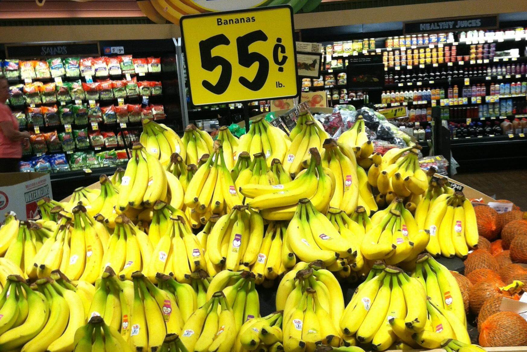 Can biotechnology defuse the looming 'bananapocalypse'? - Genetic