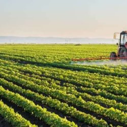 CR Health Hero glyphosate older adults v e