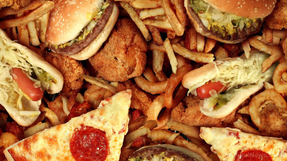 Fast Food Concept Greasy Fried Restaurant