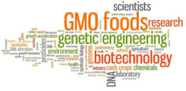 GMO questions e