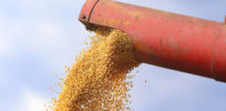 USDA Brazil soy crop production exports boosted