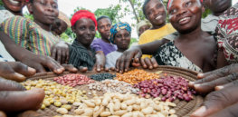 beans uganda x