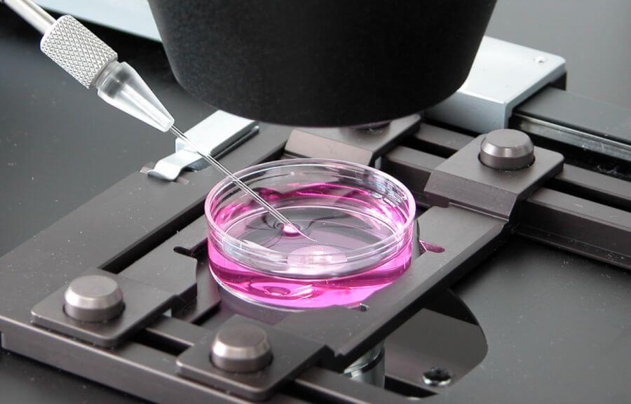 crispr