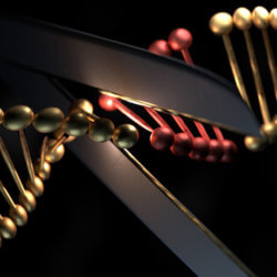 crispr