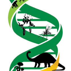 gene editing
