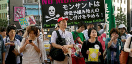 no monsanto protest