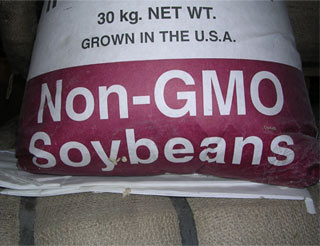 non gmosoybeans