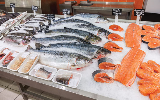 salmon jpg