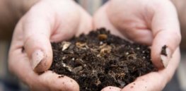Digging in the dirt may yield new class of antibiotics